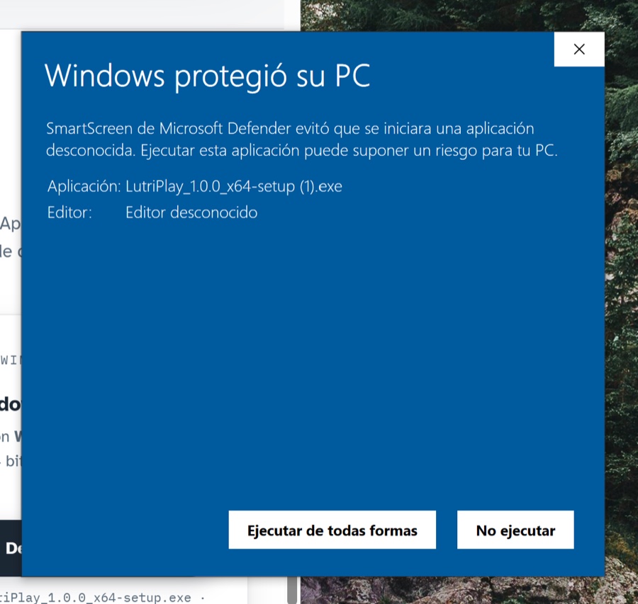 La misma pantalla ya desplegada, mostrando el botón Ejecutar de todas formas.
